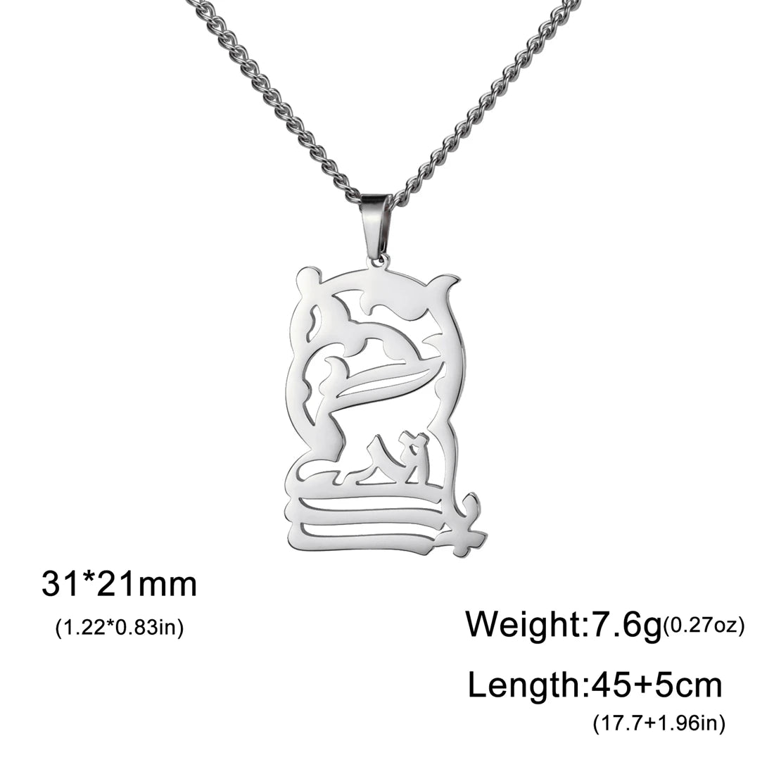 Silver pendant necklace with chain on a white background
