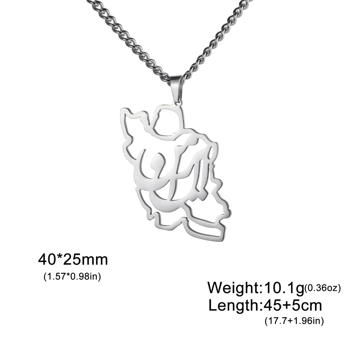 Silver pendant necklace with chain on a white background